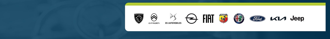 Wassink Autogroep